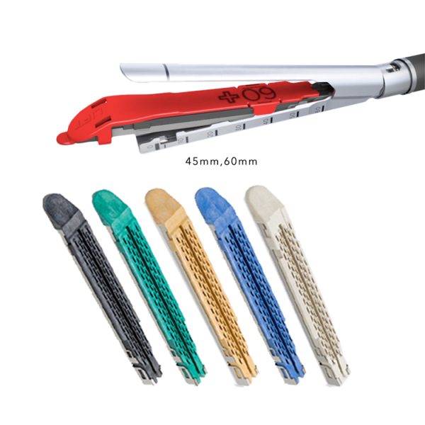 echelon 60